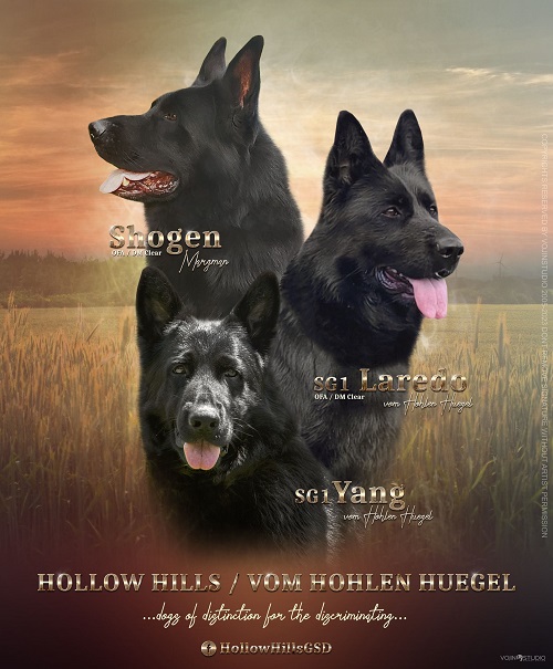 Logo for Hollow Hills/ vom hohlen Huegel Shepherds