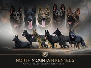 Logo for North Mountain Kennels